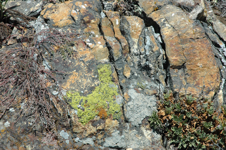 Piedras Blancos Lighthouse 096.jpg